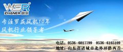 河北羅茨風(fēng)機(jī)市場的發(fā)展